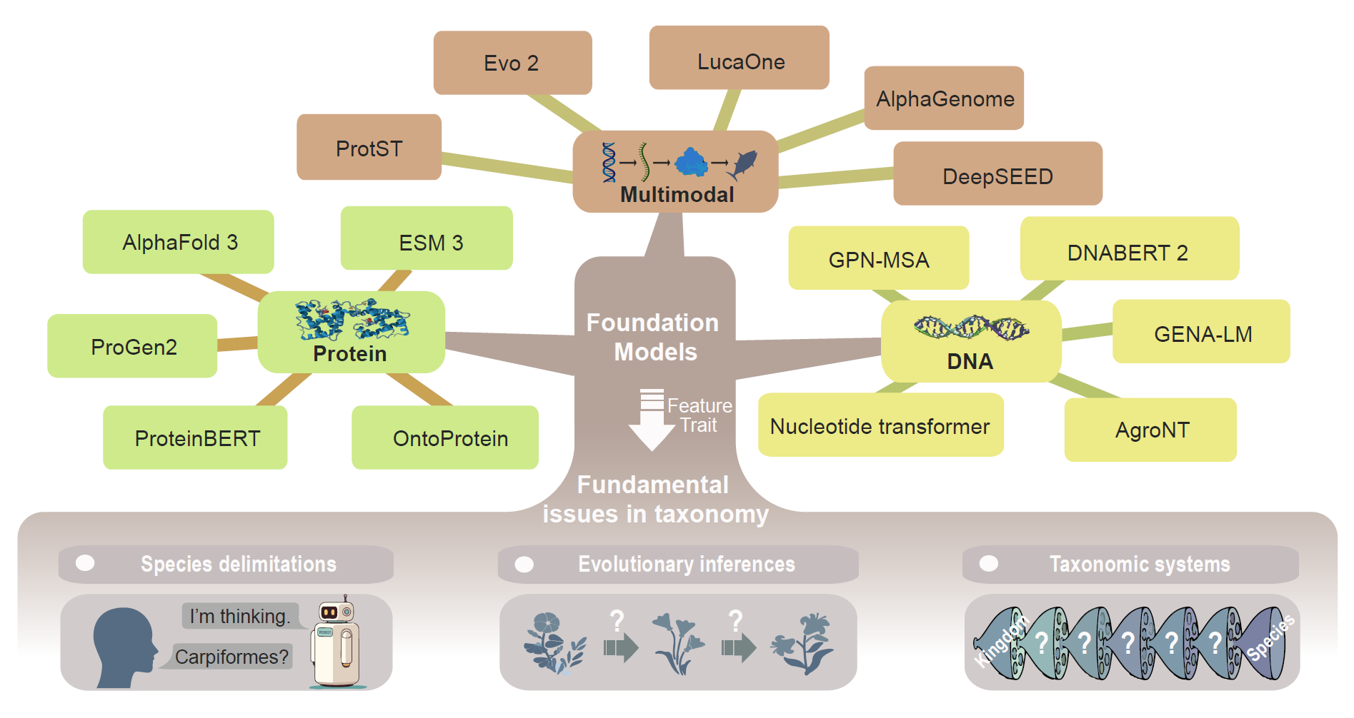球盟会(中国)发表综述文章探讨AI驱动的生物分类学